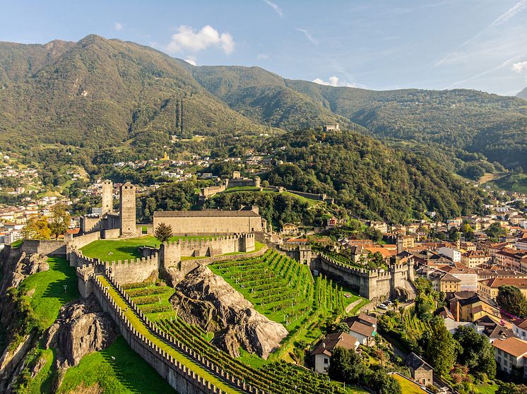 bellinzona_copyright_parisiva (6)