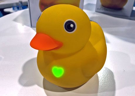 CES 2016 Edwin the Duck