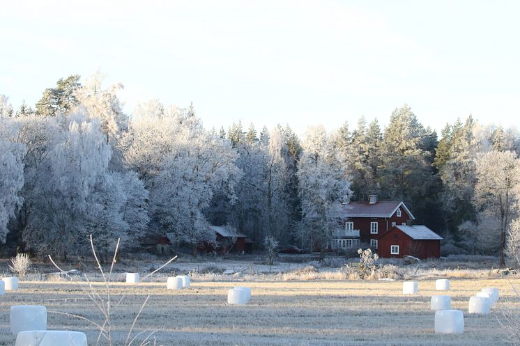 Ässkogsgård_foto_orebro_kommun