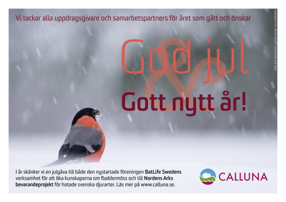 Julkort_2019_CallunaAB.png