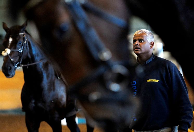 Tomas Hammar, Show Director Helsingborg Horse Week 2015