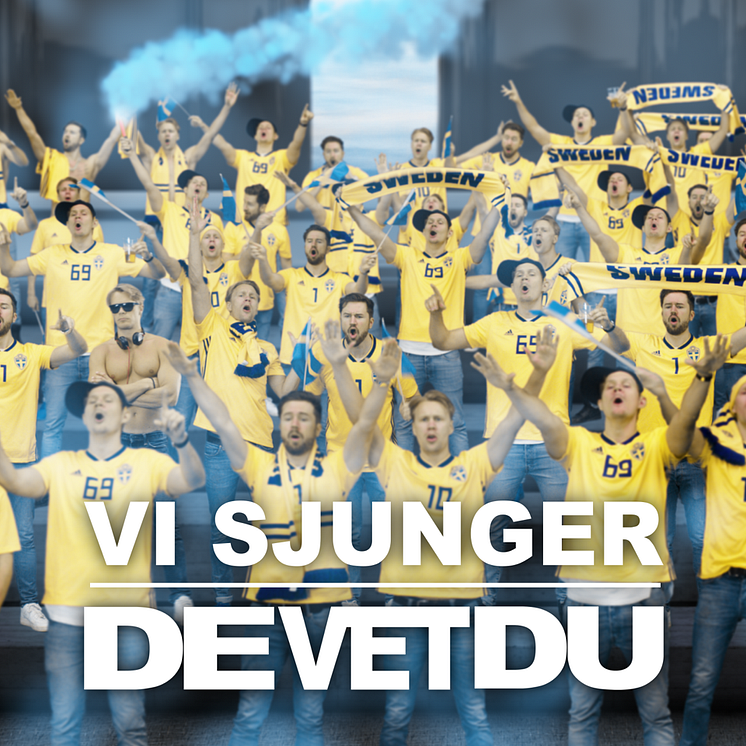 De Vet Du OMSLAG