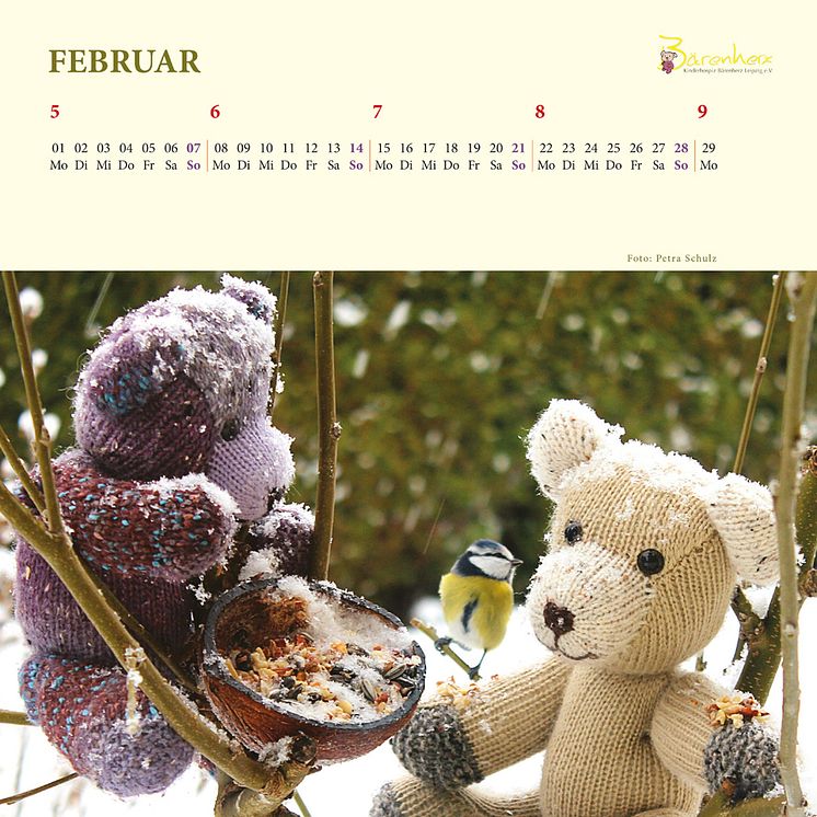 Bärenherz-Kalender für 2016 verfügbar