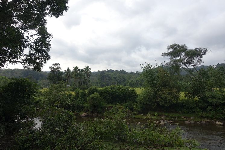 Bujang Raba, Sumatra Indonesien