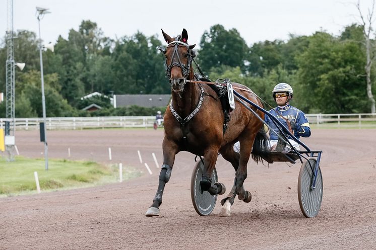 Hickothepooh klar för Elitloppet 2021.