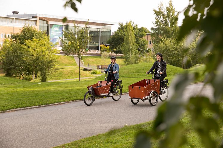 U-bike Campus Umeå 1