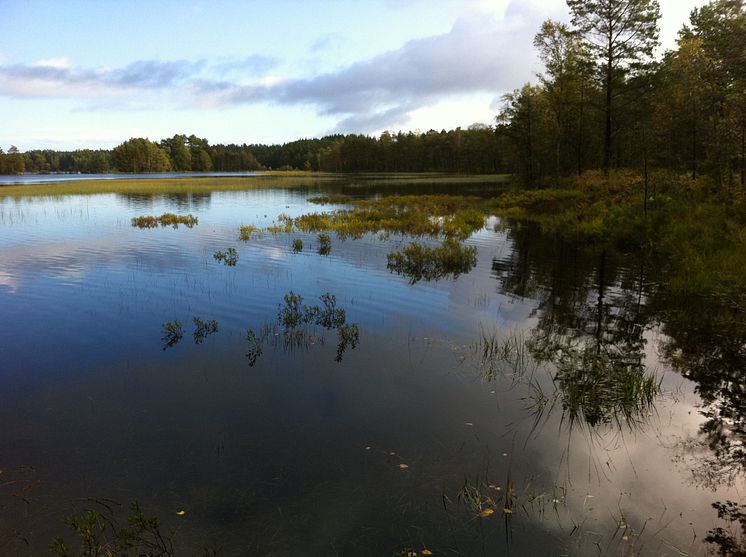 Boksjön, nytt naturreservat