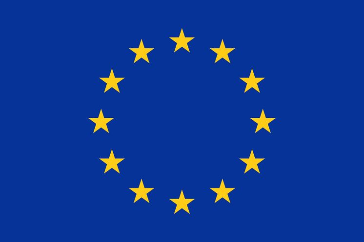 18105330-official-vector-flag-of-european-union-eu (1)