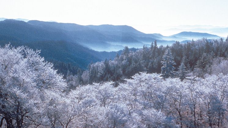 GreatSmokyMountains_Photo_NationalParkService