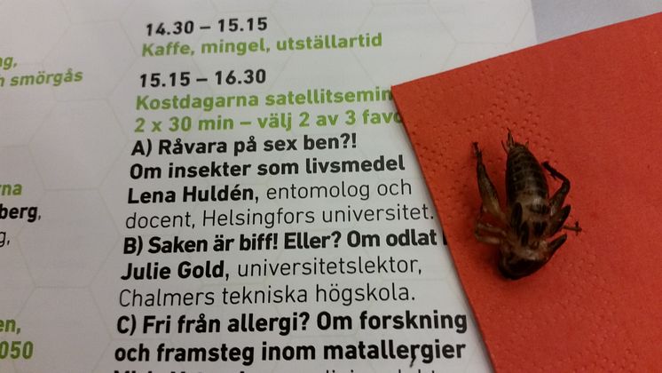 Äta insekter? Kostdagarna 2015_Bergström & Hellqvist