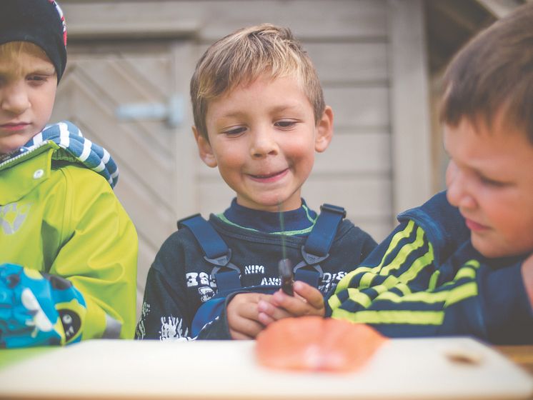 Lachs ist gesund, auch für Kinder.