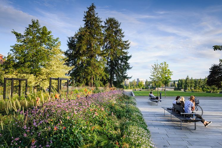 Skellefteå Stadspark