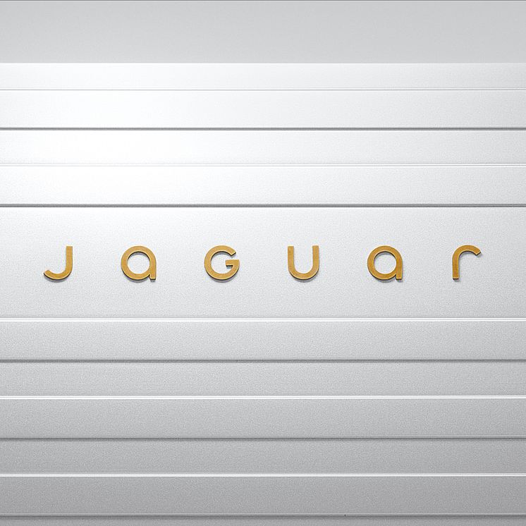 JAGUAR_DEVICE_MARK_1X1_191124.jpg