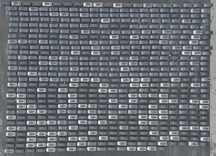 BYD_02 (1).png