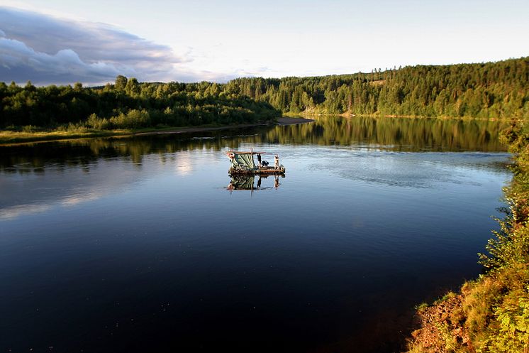 Vildmark Värmland