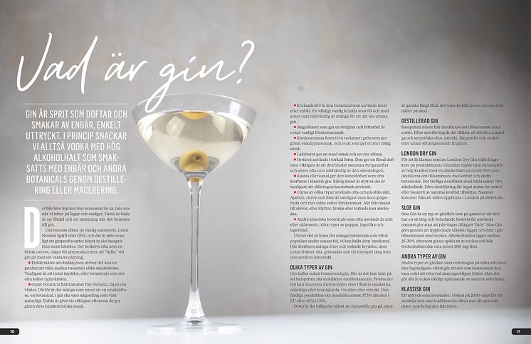 Uppslag - Vad är gin? 