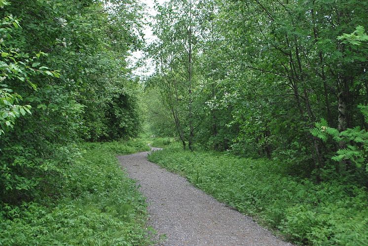 Promenadstråk Hörneån, Hörnefors