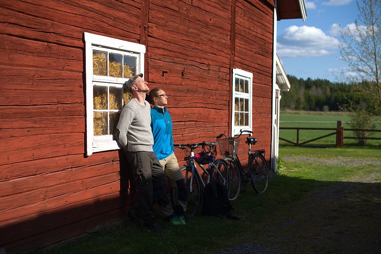 Cykla i Östergötland