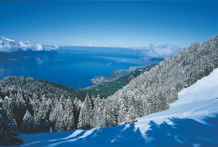 Blick auf Genfersee aus der Zahnradbahn zum Rochers-de-Naye 