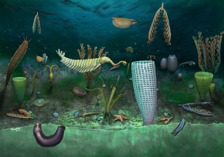 Opabinia 
