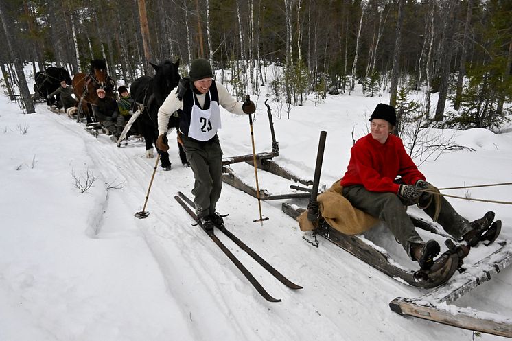 Jubileumsvasan nr 29 Per Holm från Mora kör förbi forkörare i skogen