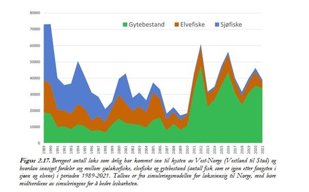 Innsig laks Vest-Norge
