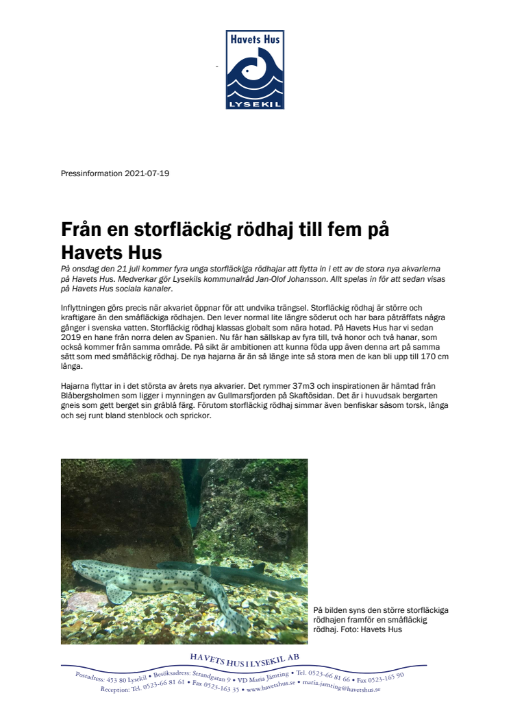 210719 Storfläckig rödhaj flyttar in.pdf