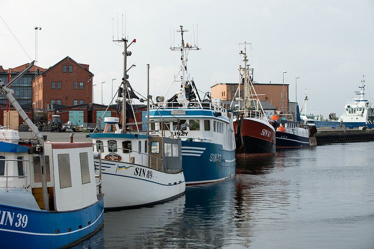 ​Fiske efter bottenlevande arter kan bli lönsammare