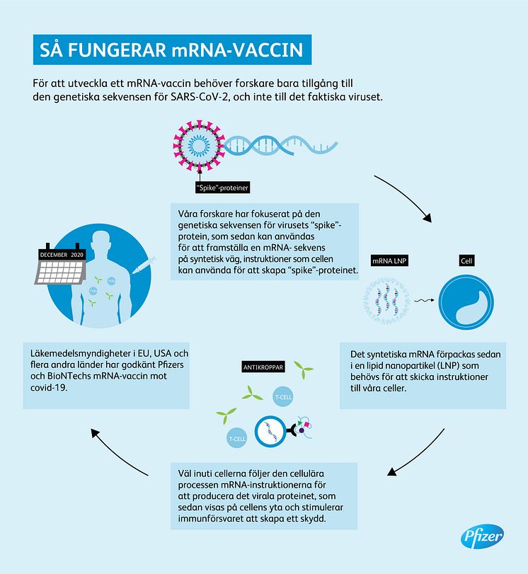Så fungerar mRNA-vaccin