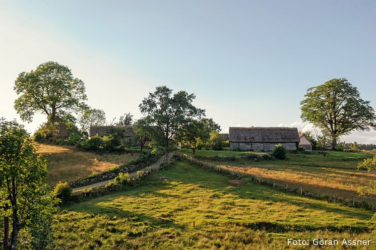 Pressmeddelande, foto Göran Assner