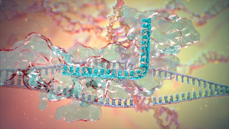 CRISPR teknologi