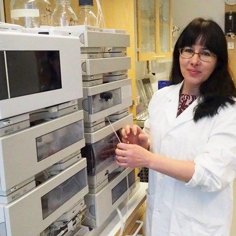 Galia Zamaratskaia, forskare och samverkanslektor i matens kvalitet vid Sveriges Lantbruksuniversitet, lyfter fram bärens innehåll av kostfibrer som ytterligare ett område där bären har betydelse för vår hälsa.