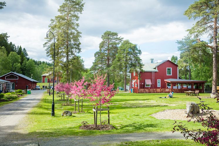 Umeå Energ Energicentrum