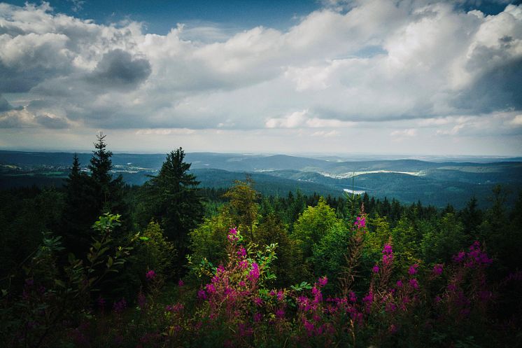 Blick vom Auersberg_Foto TVE Gravel Claub _© Dan Zoubek.jpg