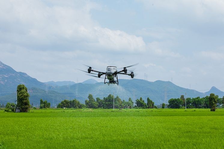 DJI Agras T50-6.jpg