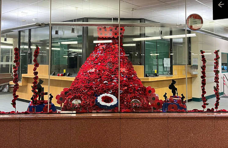 Poppy display.png