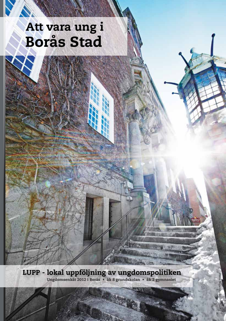 Lupp - redovisning för Borås 2012