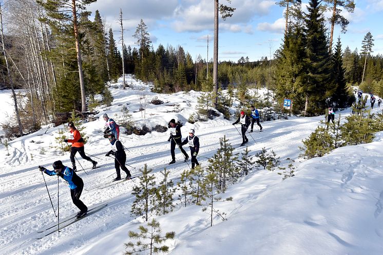 Öppet Spår söndag, 2016-02-28 (1)