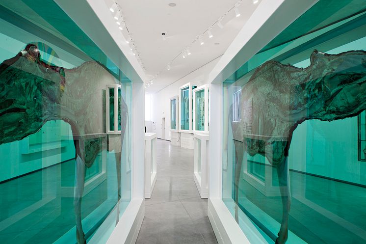 Damien Hirst (c) Astrup Fearnley Collection(2)