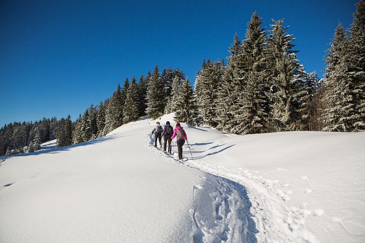 Schneeschuhwanderung, Les Paccots ©Fribourg Region