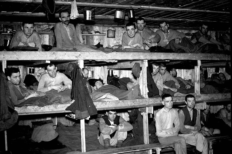Tvangsarbeidere under 2. verdenskrig