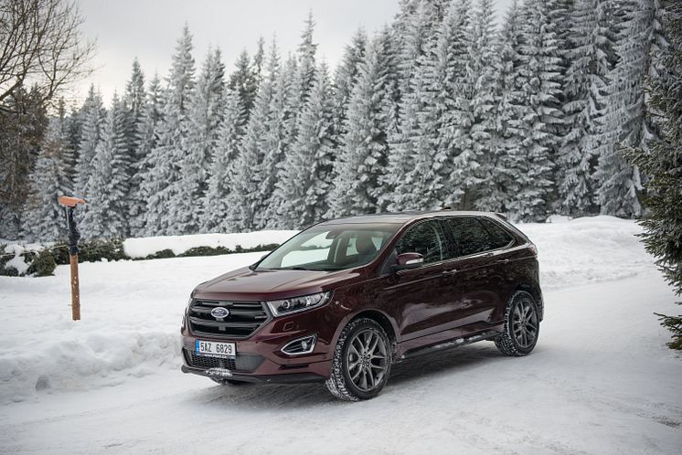 Ford Edge (28)