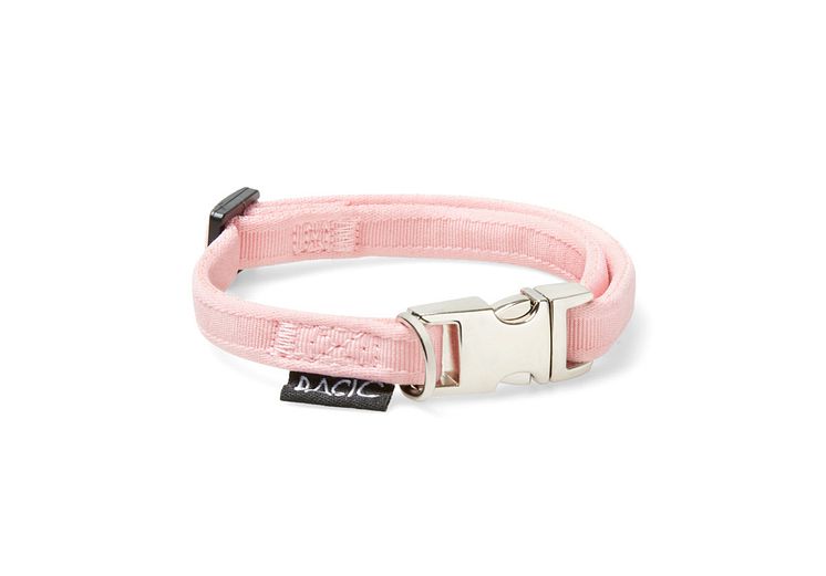 141854_Basic Sweet collar rose.jpg