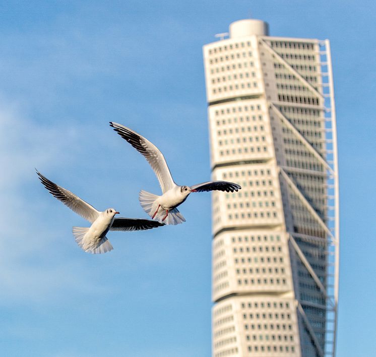 Turning Torso