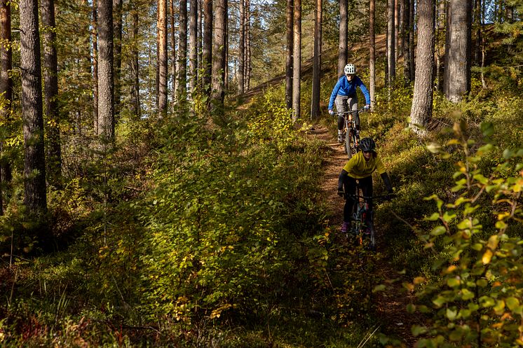 Cykling Umeåregionen