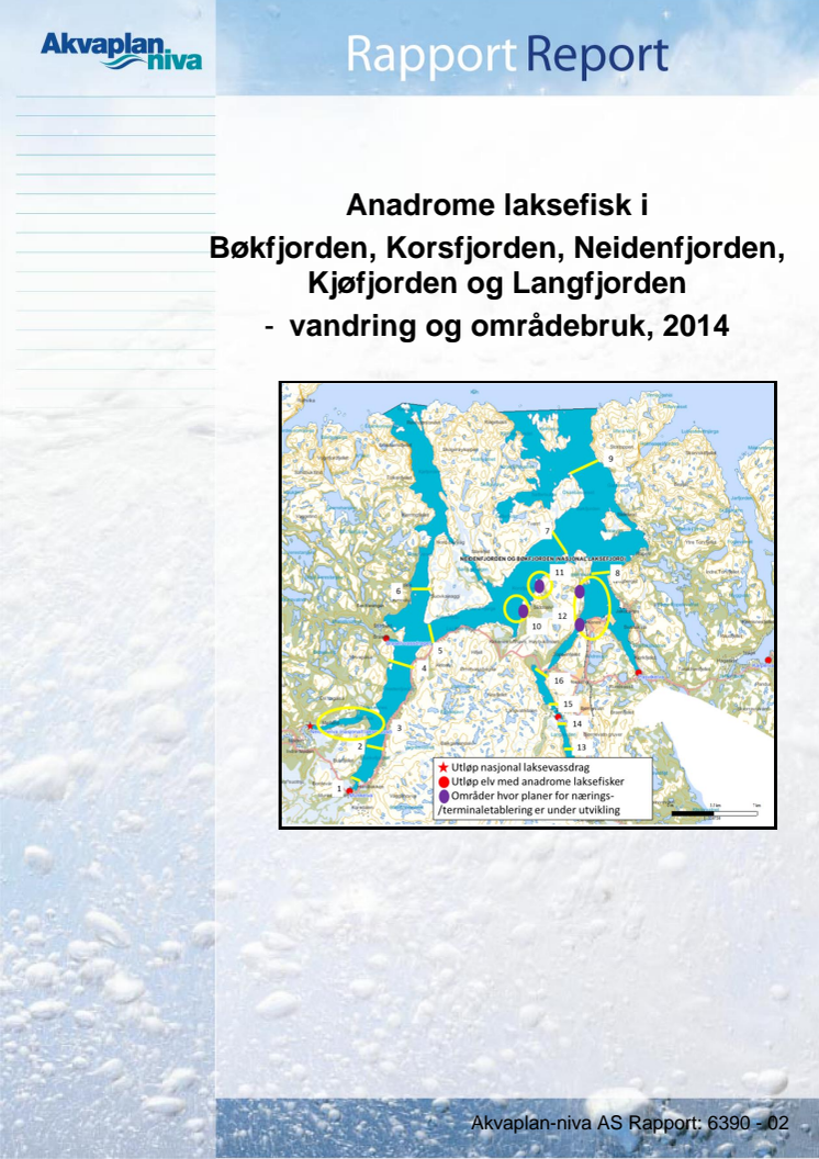 Rapporten om laksefiskers vandring i Bøkfjorden og Neidenfjorden