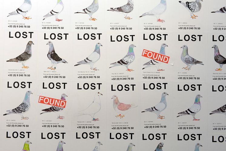 Lost Pigeons - Pilvi Takala