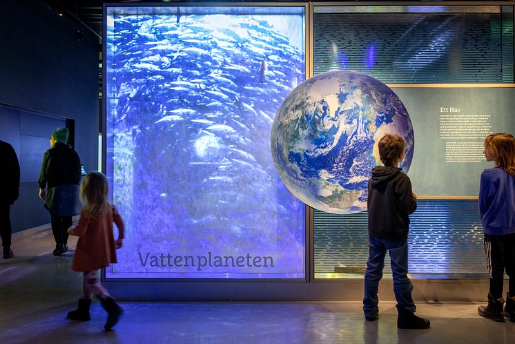 Sjöfartsmuseet Akvariet: Vattenplaneten 