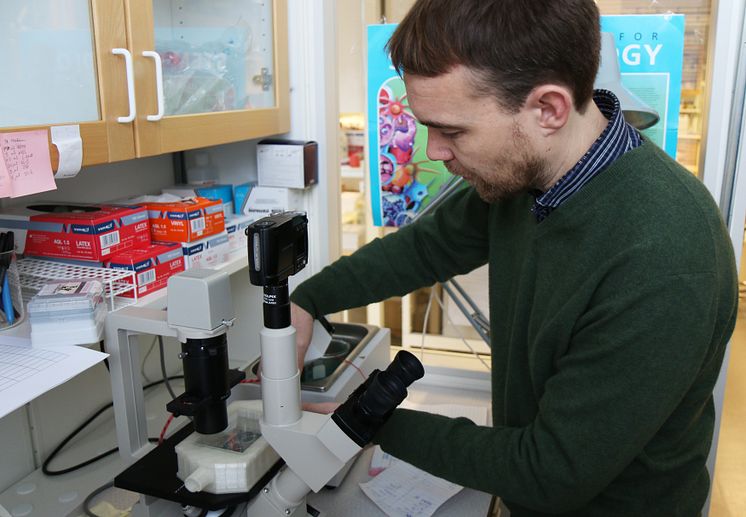 Upgraded standard microscope 