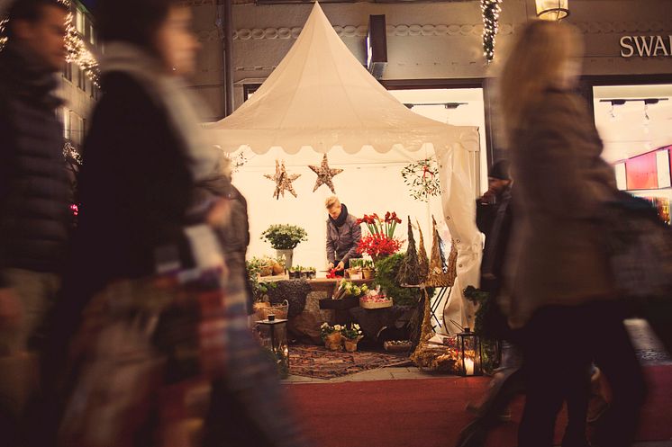 Julblommor i Bibliotekstan